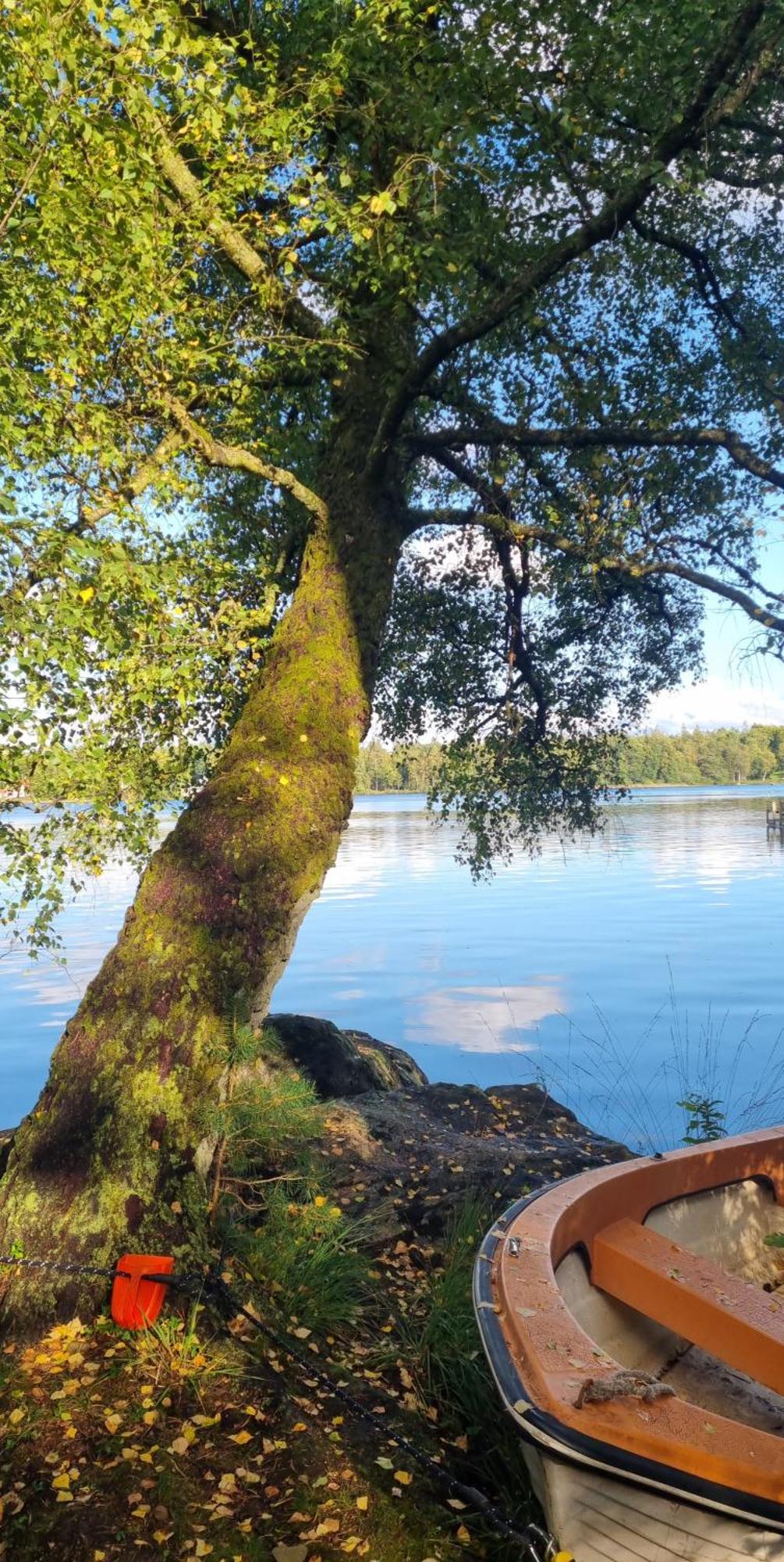 Hyr Rum Pa Oestbo Vittsjo Bagian luar foto
